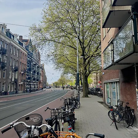 Beautiful In The Heart Of Amsterdam! 公寓 *